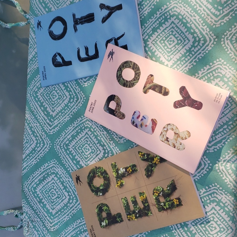 POETRY Foundation Magazine ☆Lot of 3 - 2019 / 2020
